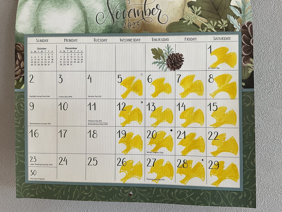 🍁🟡教室オープン