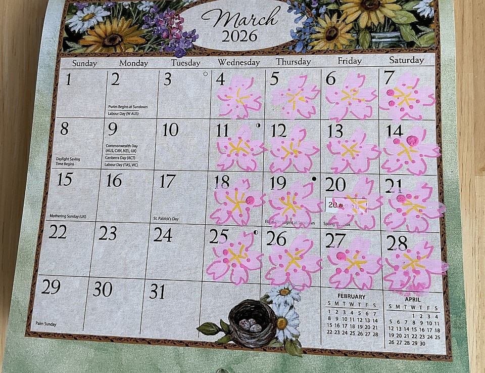 🌸教室オープン